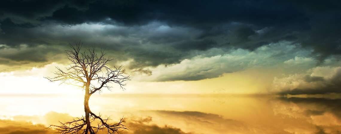 Bild von Joe auf Pixabay