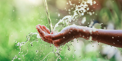 Bild von lovelyday12 auf iStock -1361654710