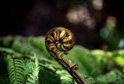 Bild von Kieran Somerville auf Pixabay