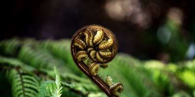 Bild von Kieran Somerville auf Pixabay